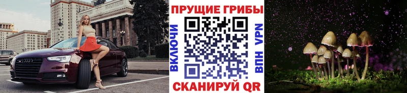 Галлюциногенные грибы Cubensis купить закладку Циолковский